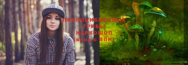 мяу мяу мука Балабаново