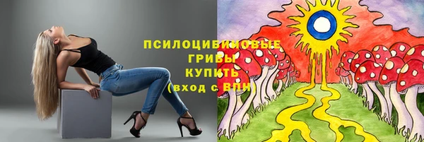мяу мяу мука Балабаново